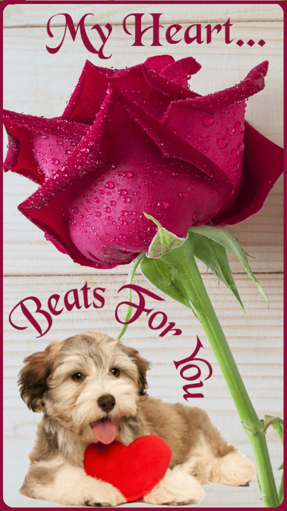 Thinking of You Cards