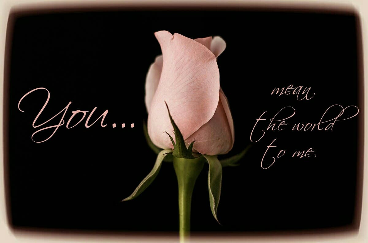 Thinking of You Cards