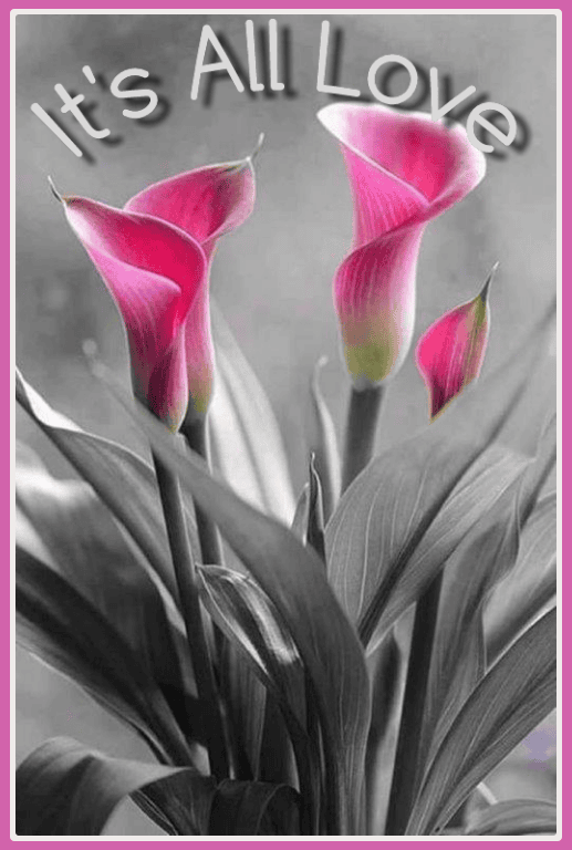 Thinking of You Cards