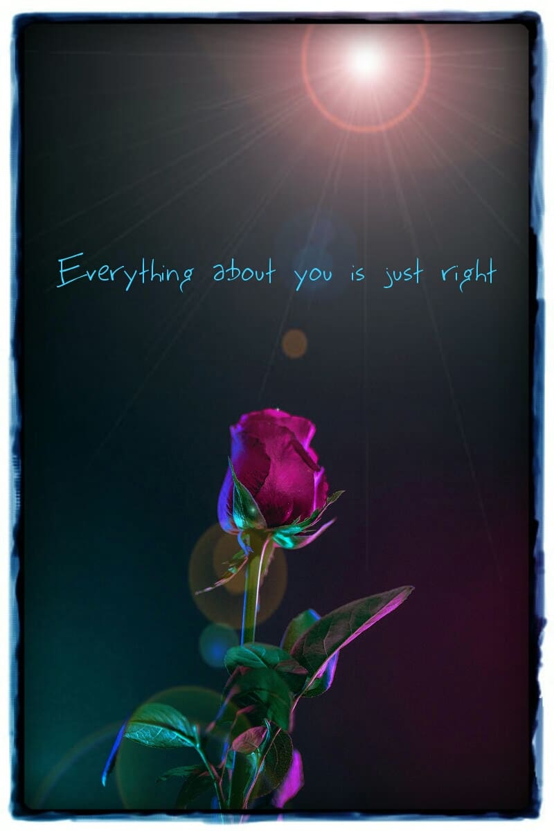 Thinking of You Cards