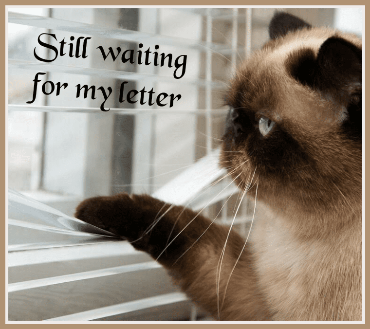 I Miss You