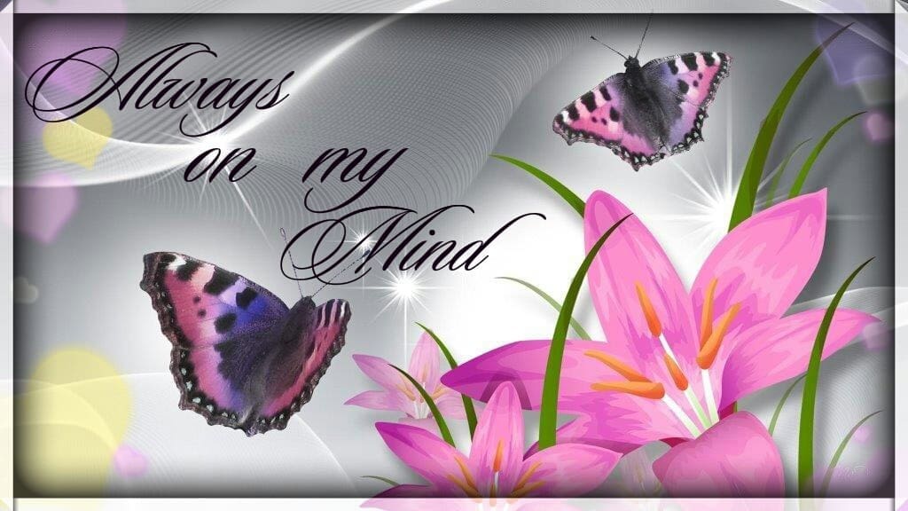 Thinking of You Cards