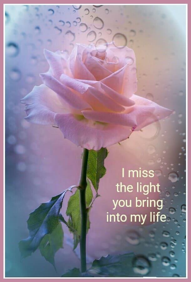 I Miss You