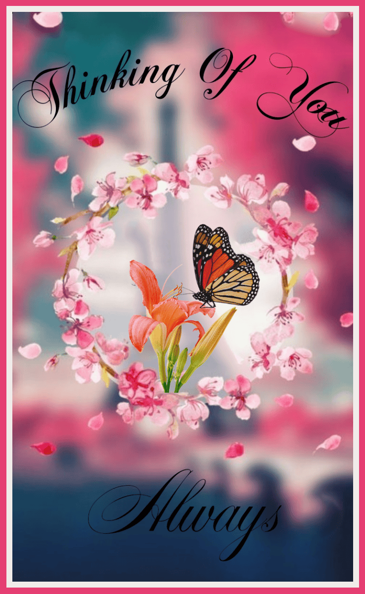 Thinking of You Cards