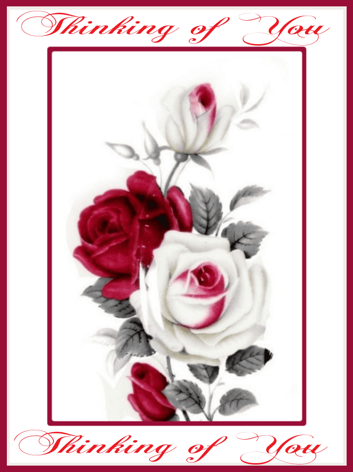 Thinking of You Cards