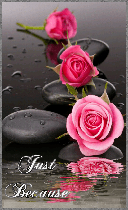 I Miss You