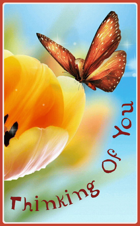 Thinking of You Cards