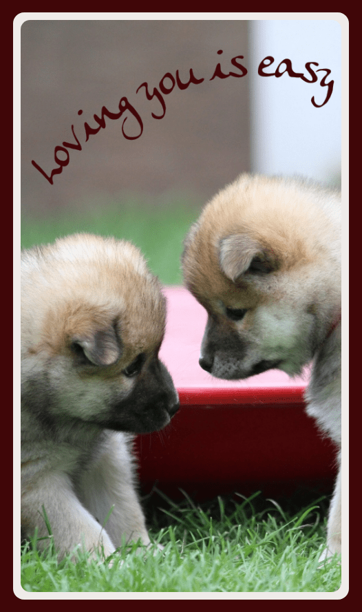 I Love You
