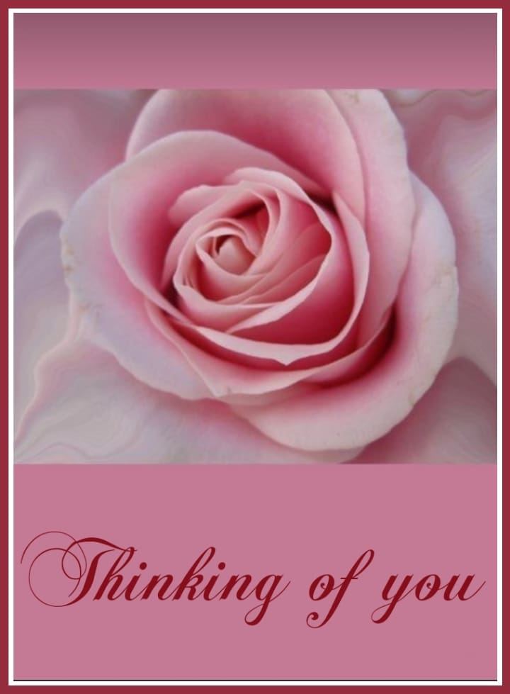 Thinking of You Cards