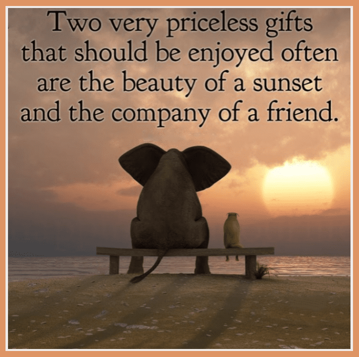Thinking of You Cards