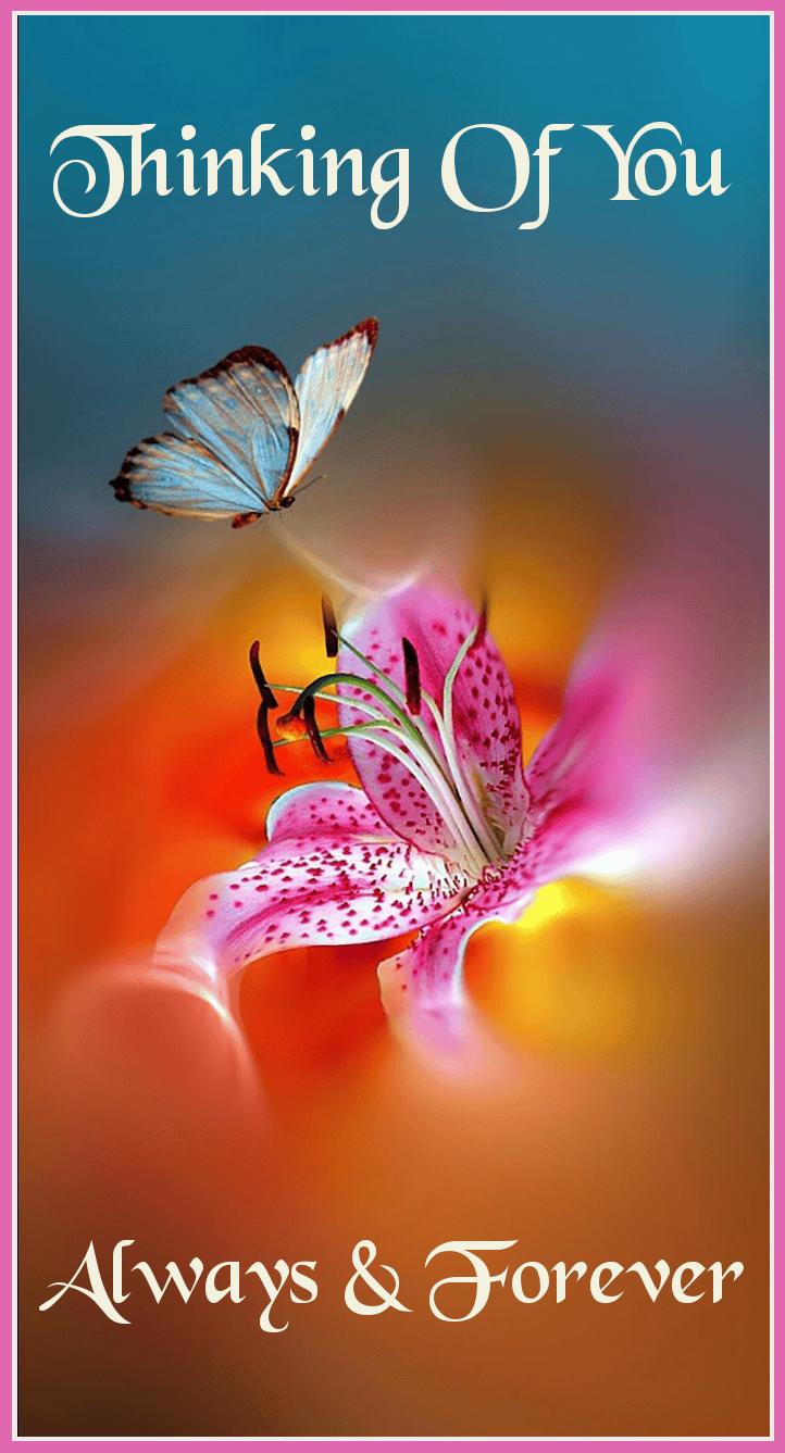 Thinking of You Cards