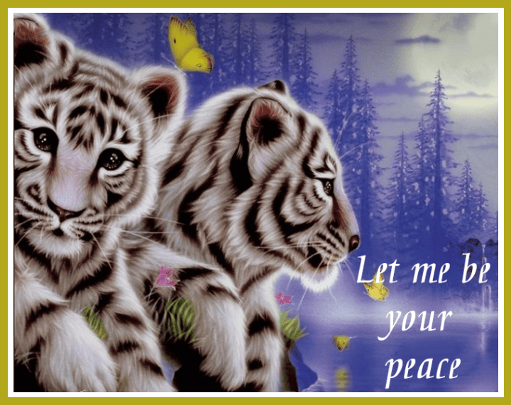 Thinking of You Cards