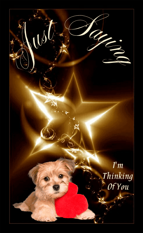 Thinking of You Cards