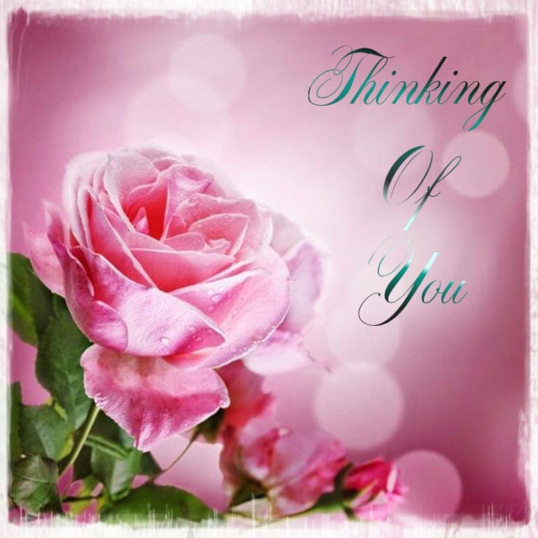 Thinking of You Cards