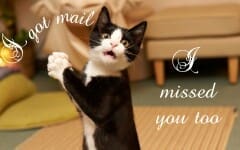 I Miss You