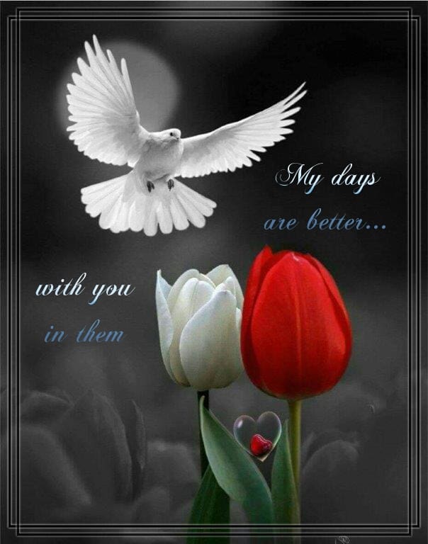 Thinking of You Cards