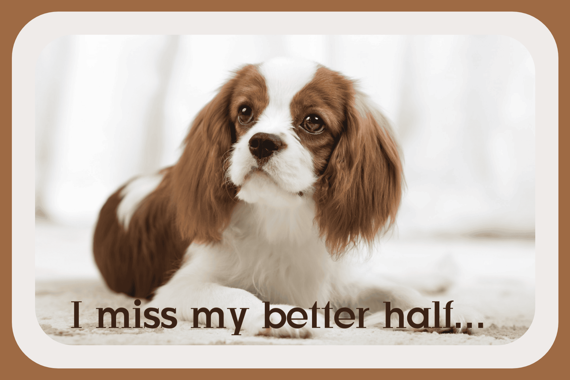 I Miss You