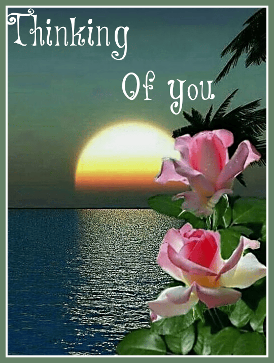 Thinking of You Cards