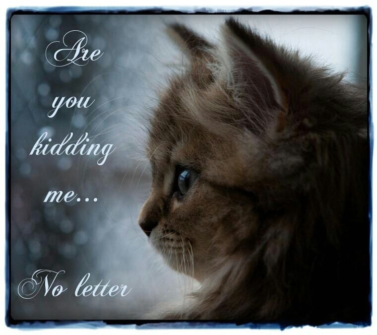 I Miss You