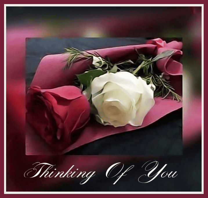 Thinking of You Cards