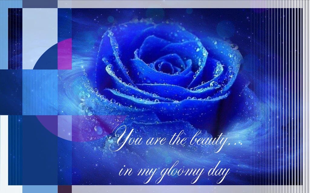 Thinking of You Cards