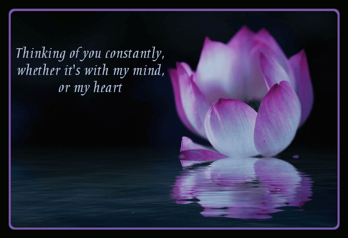 Thinking of You Cards