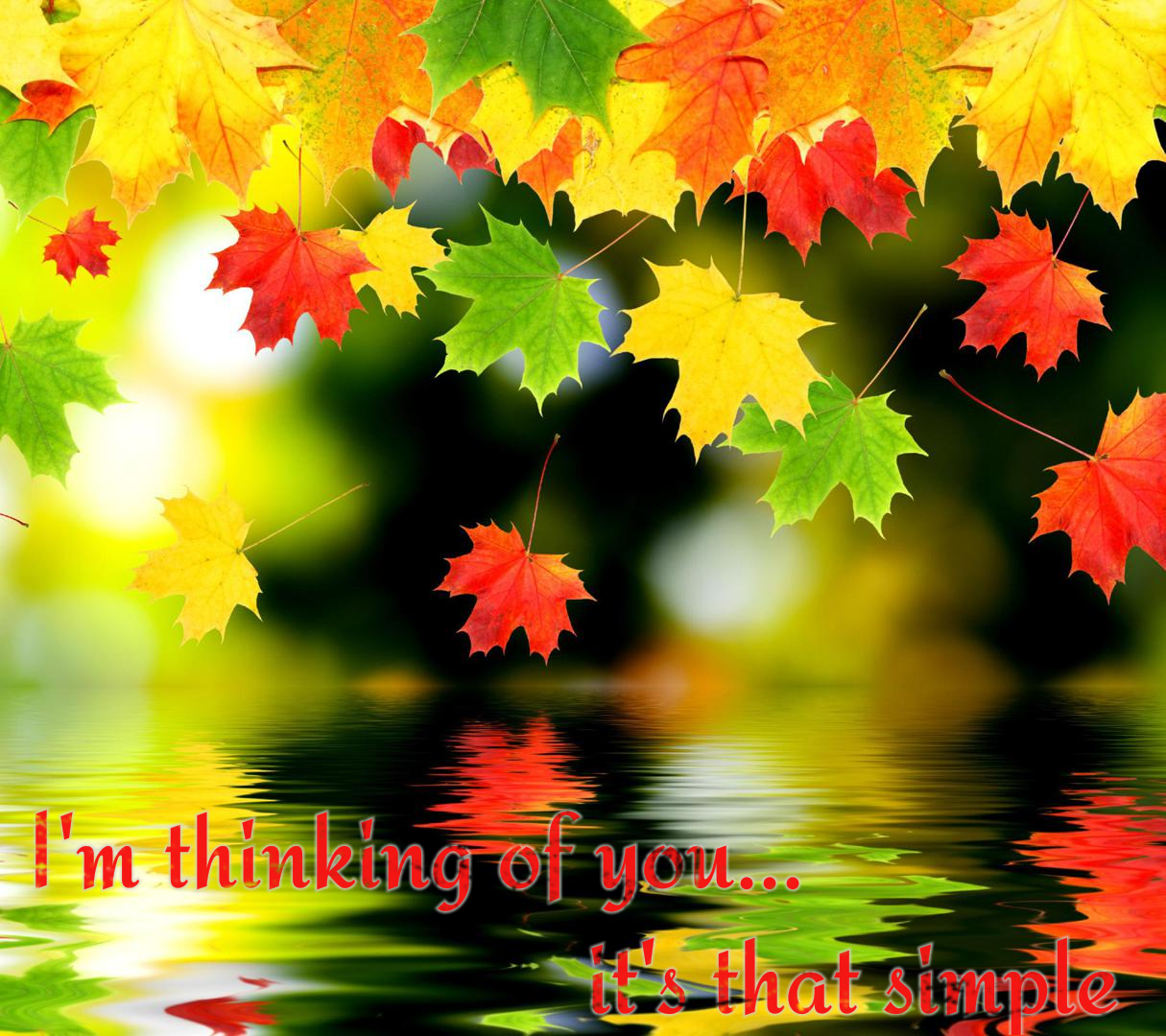 Thinking of You Cards