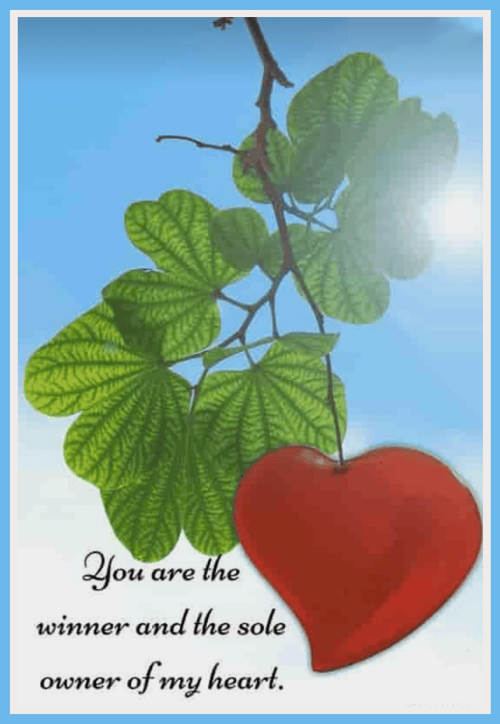 Thinking of You Cards