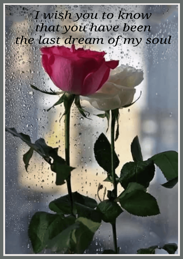Thinking of You Cards