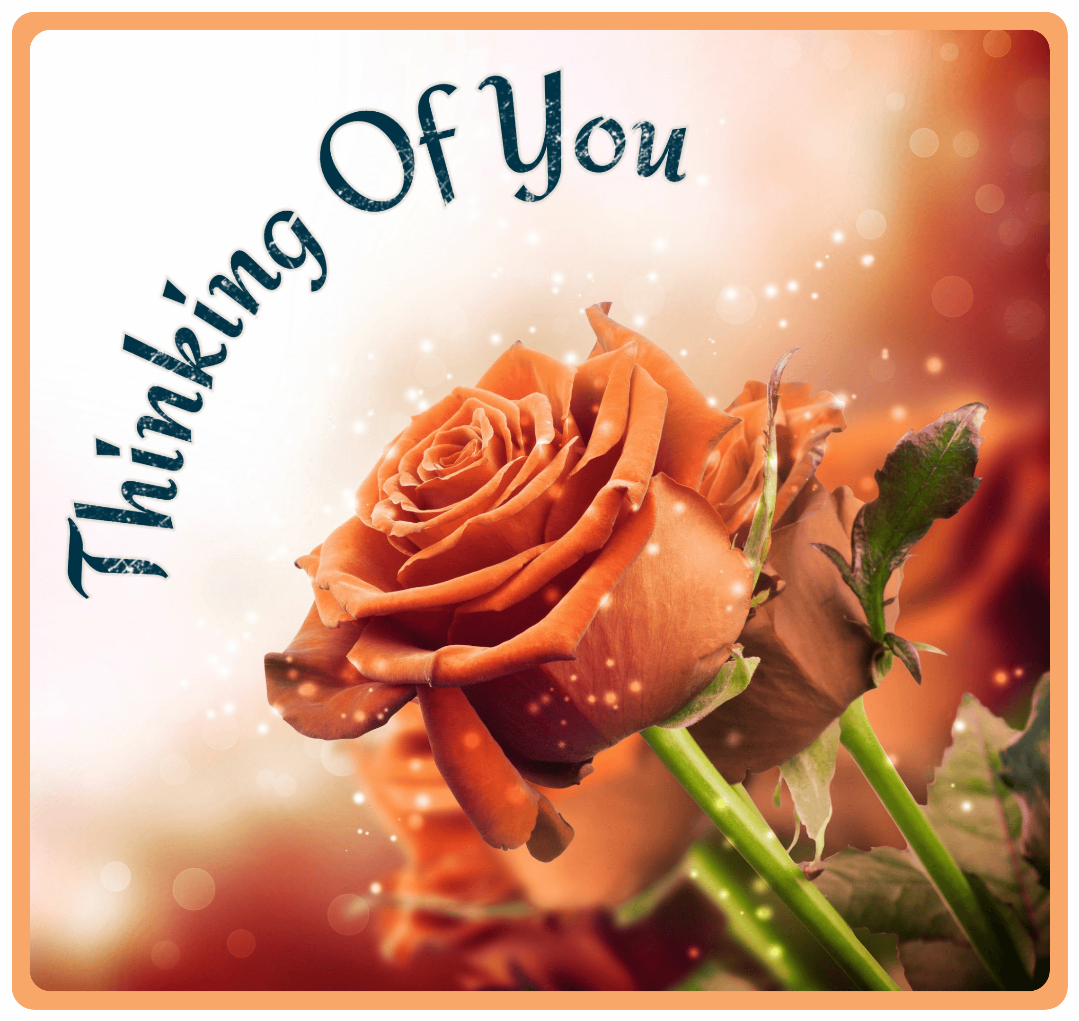 Thinking of You Cards