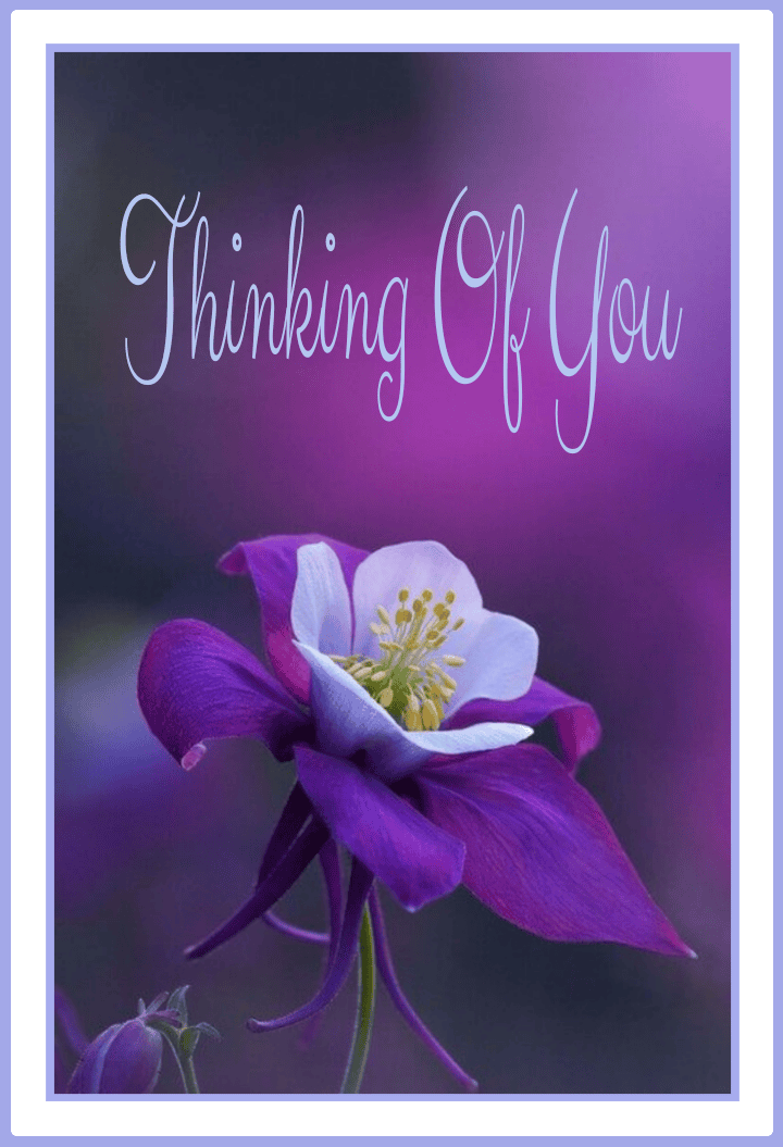 Thinking of You Cards