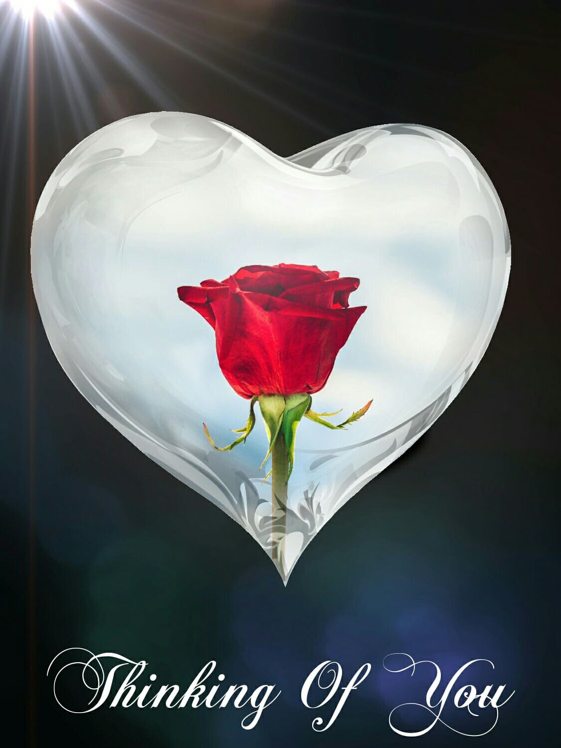 Thinking of You Cards