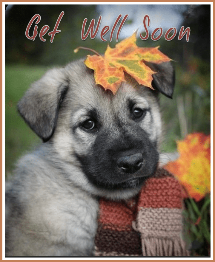 Get Well Digital
