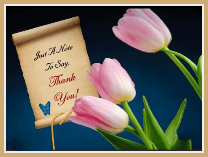 Thank you