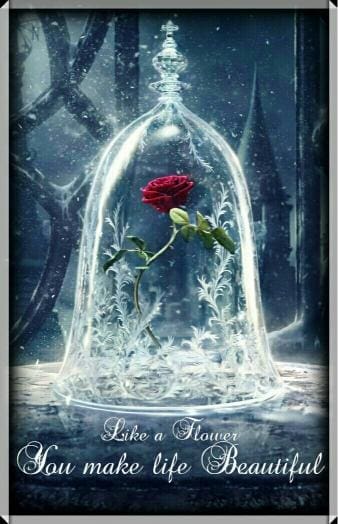 To Someone Special