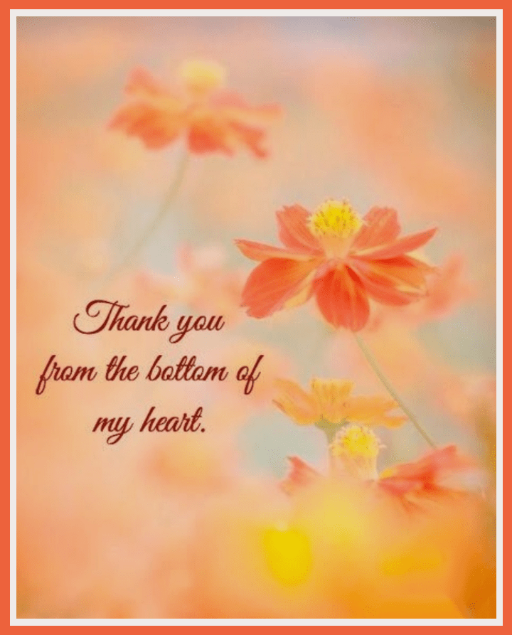 Thank you
