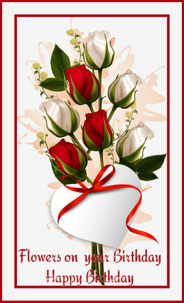Birthday Card