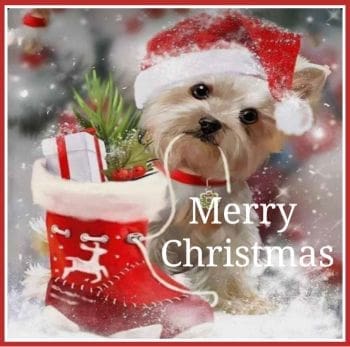 Christmas