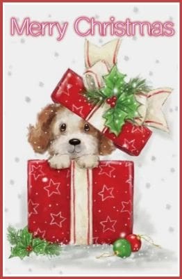 Christmas