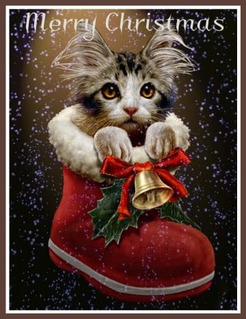 Christmas