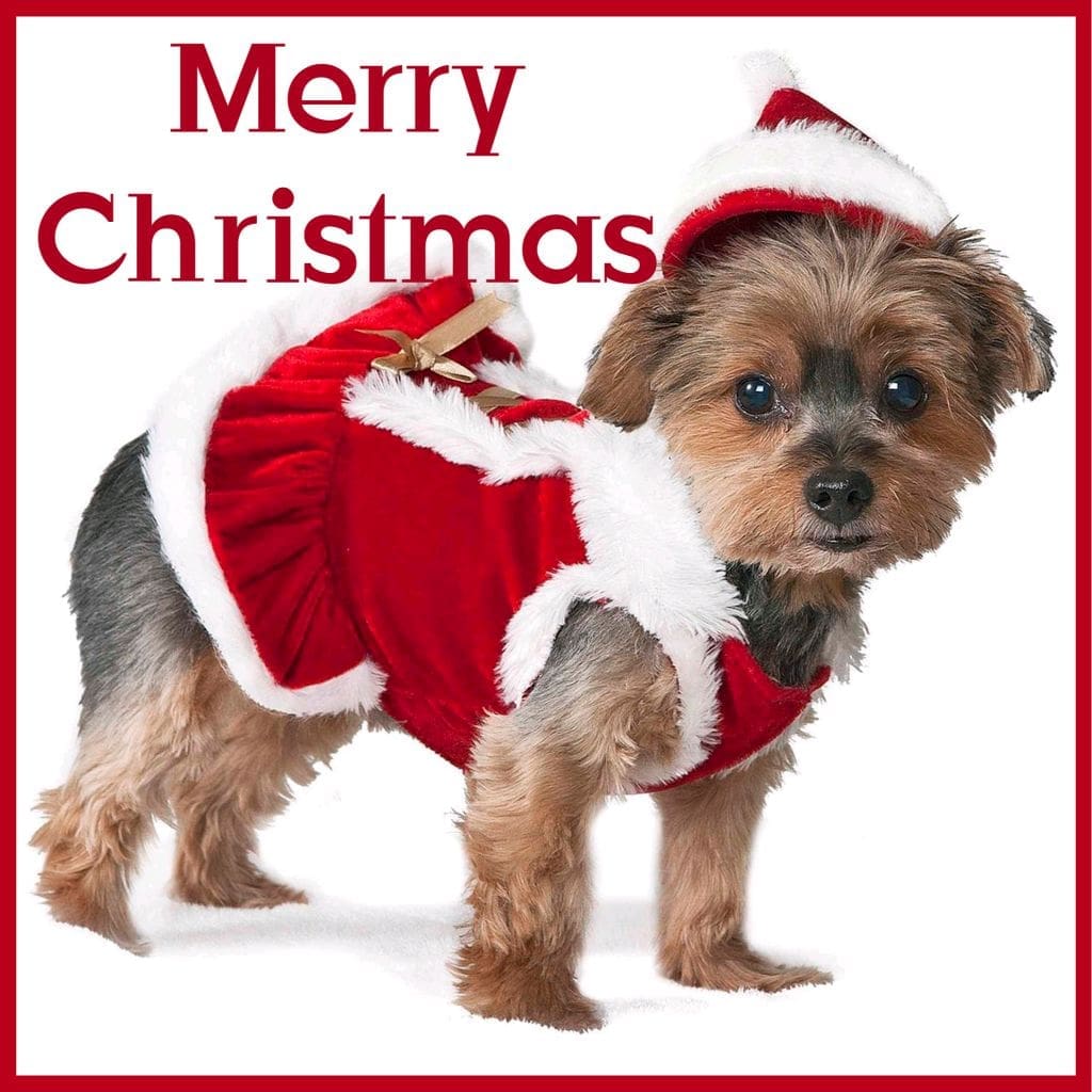 Christmas
