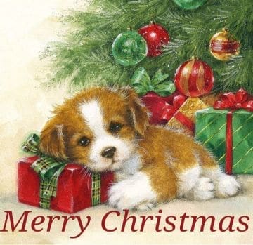 Christmas