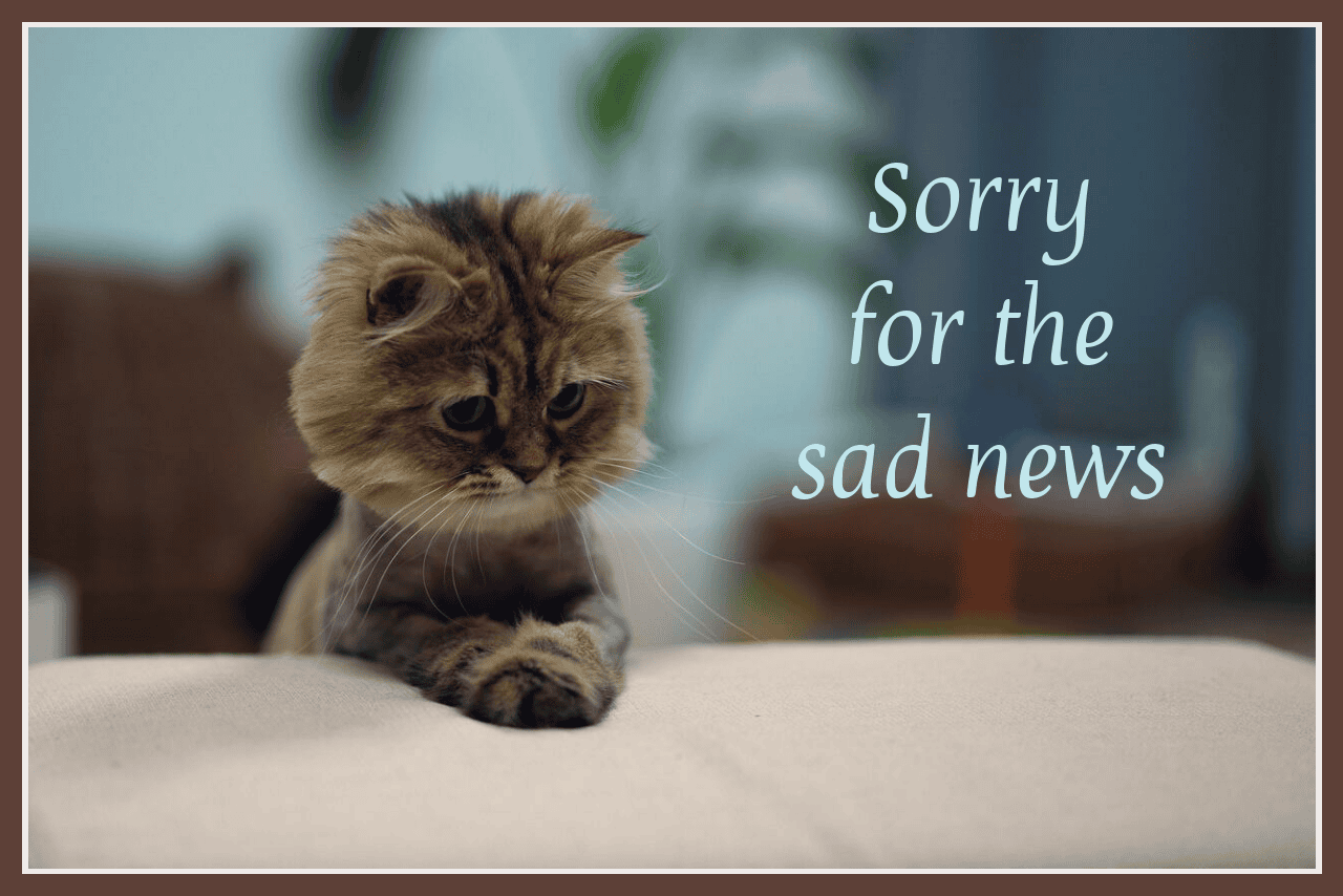 Sympathy Digital