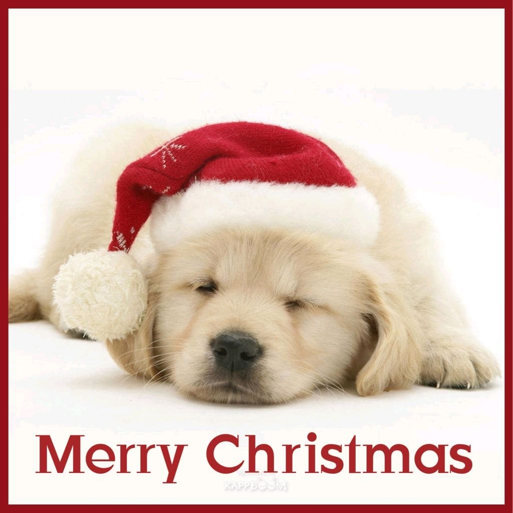 Christmas